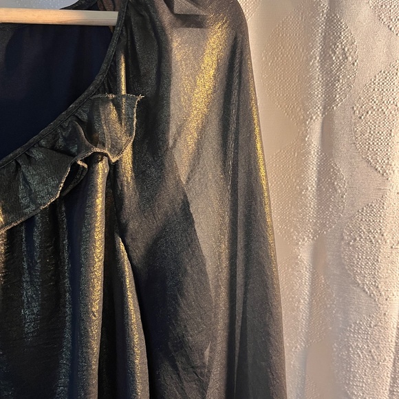 Cupio - Metallic Bronze semi sheer, lined long sleeve blouse - Picture 7 of 11